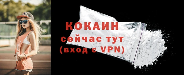 мяу мяу мука Елизово