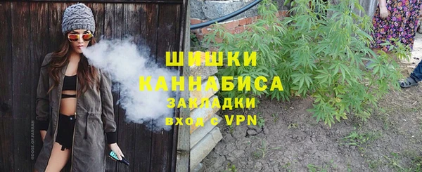 спайс Ельня