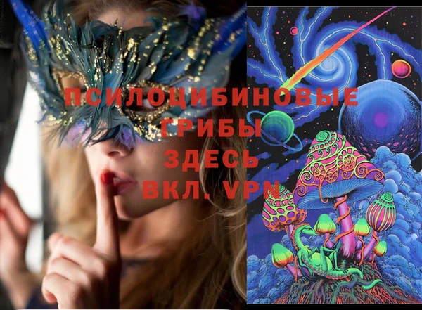 спайс Ельня